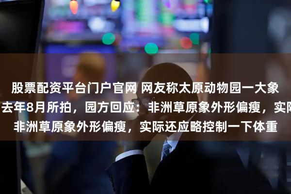 股票配资平台门户官网 网友称太原动物园一大象瘦成“皮包骨”?实为去年8月所拍,园方回应:非洲草原象外形偏瘦,实际还应略控制一下体重